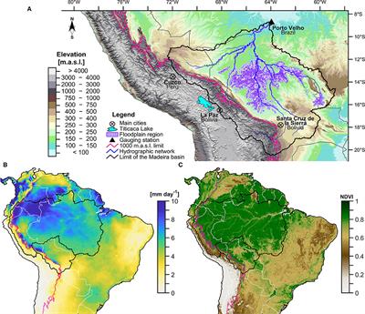 On the Hydroclimate-Vegetation Relationship in the Southwestern Amazon During the 2000–2019 Period